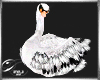 AnD_Odette Swan Anim