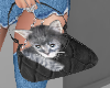 SC kitty bag black