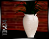 Floor Plant  cream vase