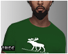 Shirt Fitch Green