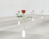 red single rose vase