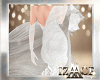 AC! TRAIM WHITE ROSES