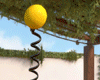 wasp diadema