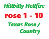 Hillbilly Hellfire/Texas