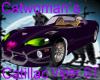 Catwoman`s catillac