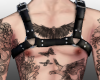 Harness!