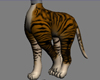 M anyskin feline Bottom