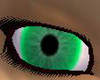 Bright Green Male Eyes