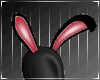 Neon Bunny Ears Black