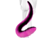 Pink Black tail