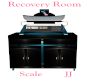 Recovery Room Scaler JJ