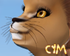 Cym New Cat Head
