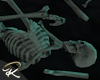 Dantes Skeleton remains