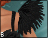 Black Arm Feathers
