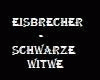 Eisbr.- Schwarze Witwe
