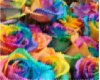Rainbow Rose Chambers