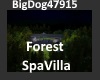 [BD]ForestSpaVilla