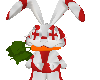 *SA* England bunny (m)