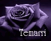 {tem}hannah siren