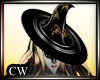 CW Witchs Brew Hat