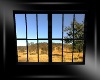 Aussie Window 2