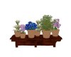 Flower are herb  pots 