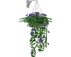 purple flowers hanging