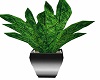 Steel Potted Tabaco 2