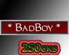 [2S] BadBoy