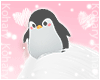 Ko ll Penguin Head F