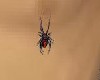 Redback Spider Nipple Ri