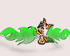 Lime La Flame