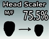 Scaler Head 75,5% M/F