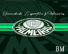 BM- Cutout Palmeiras