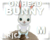 R|C Bunny On Head M