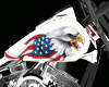 ~A~Harley Davidson Eagle