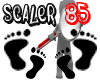 Scaler 85