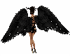 (K) black wings