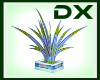 HD Palm Plant