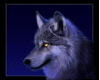 Mistical Wolf