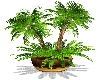 Palm Tree Pot
