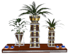 Plant Stand