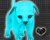 *-*Cute Turquoise Dog