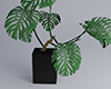 Modern plant