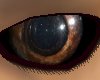 [SaT] Demons eyes