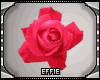 E| Roses Particles