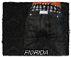 FL| gray jeans