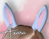 A| Bunny Ears II