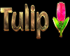 Mi Tulip Custom