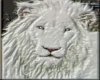 animation lions sticker